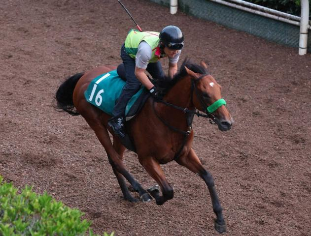 【小倉新馬戦】3億超の良血馬ジャンゴッド、川田と大舞台へ