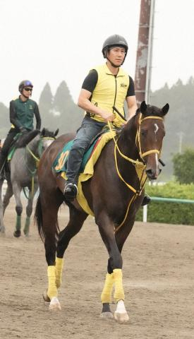 【福島新馬戦】ゴールドテソーロ絶品の動き披露　高木師「いきなりでも走れそう」