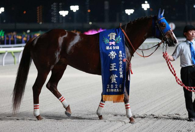 帝王賞連覇一夜明け　ミッキーファイト静養　田中博師「疲れた様子もない」」