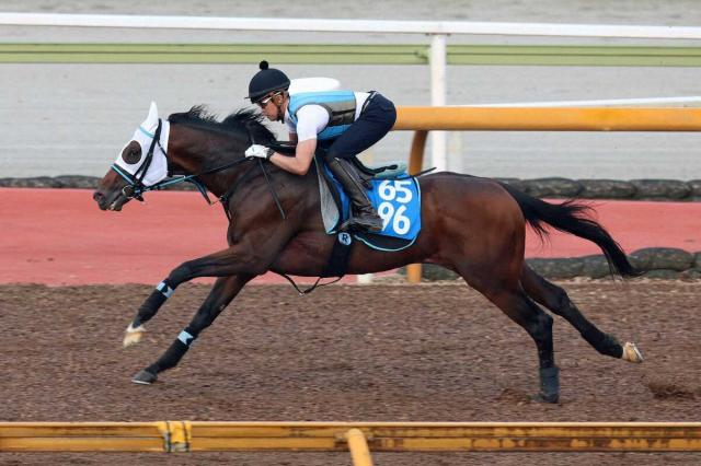 【北九州記念】松若風馬、アンクルクロスで一発!サマーJS連覇へ“季節と舞台”整った