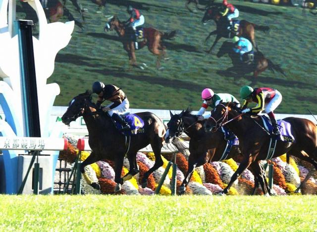 夏を越え飛躍“第2のキタサンブラック”出現へ若駒に注目