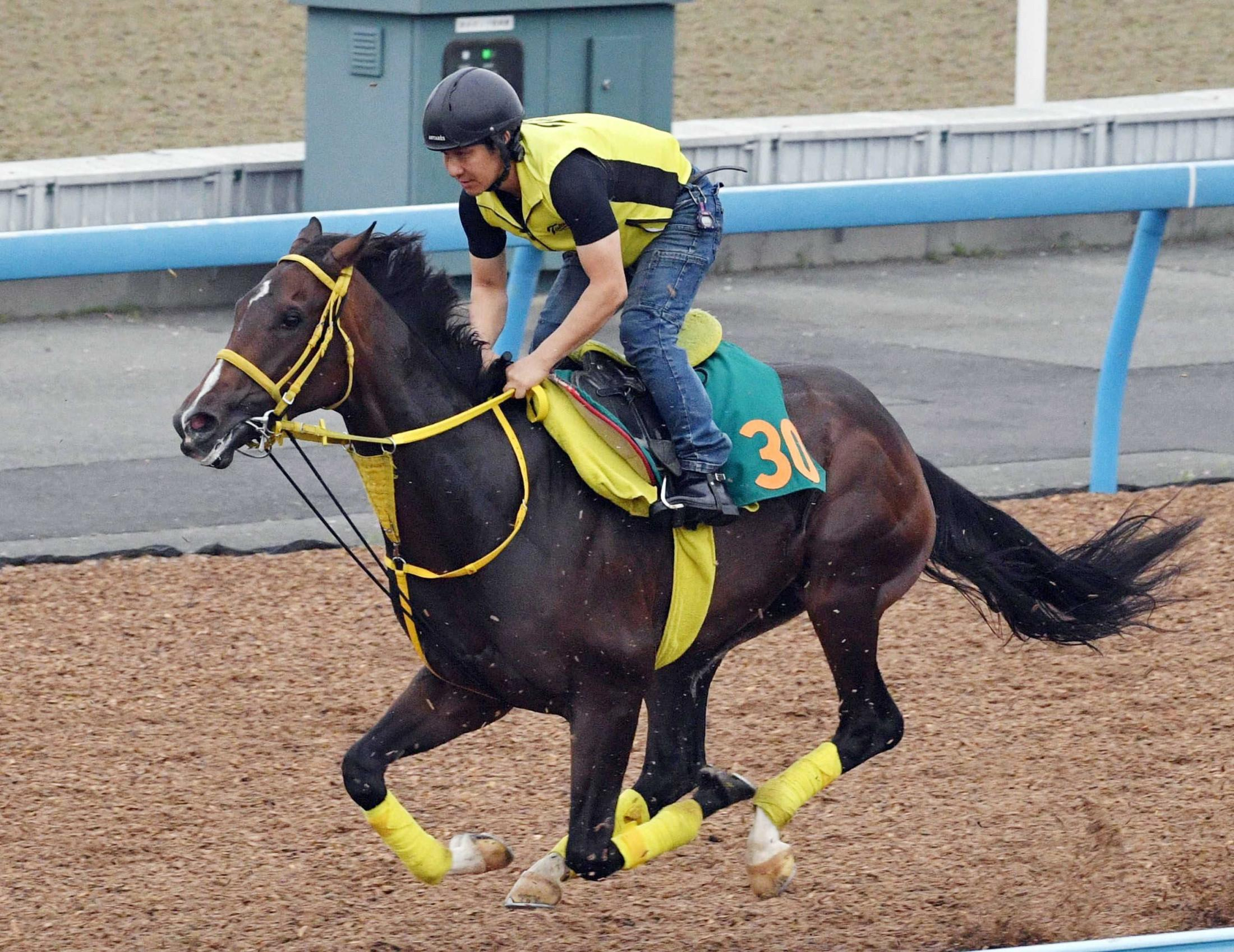 【新馬戦】ゴールドテソーロ　ダートＧ１馬に手応え優勢　高木師の評価上々「まだ緩さあるが、動きが軽い」