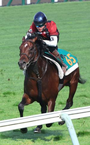2億円超フライトライン産駒が5日函館5Rデビュー　ショウナンガレオンに注目