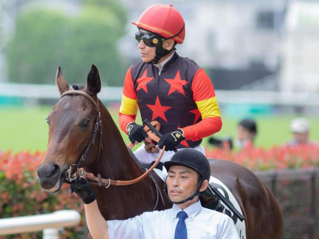 半兄は菊花賞馬 セレクト2.5億円のユマハムが初勝利狙う