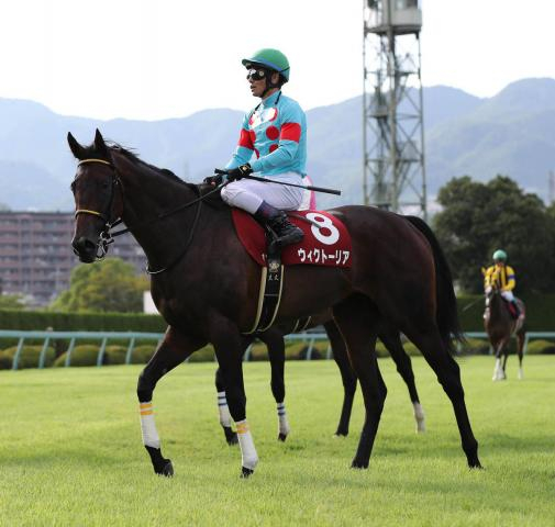 【4日の注目・函館4R】良血馬ホウオウザロイヤルがついにデビュー　母は08年秋華賞馬のブラックエンブレム