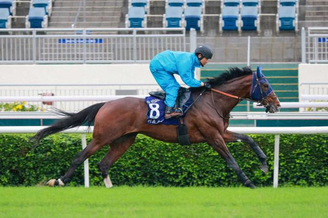 香港遠征明けのローシャムパークは札幌記念へ