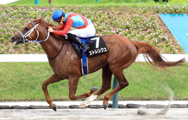 【注目馬動向】ジュライSを制したストレングスは佐賀のサマーチャンピオンへ　エコロヴァルツは札幌記念を目標に