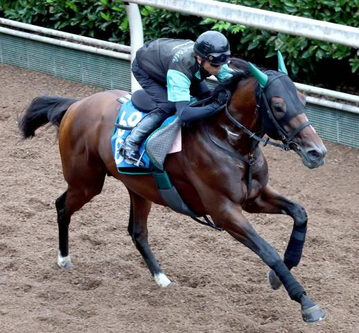 【七夕賞】福島大好き!3戦全勝サヴォーナは前走よりも上昇　中竹調教師「状態自体は全然違うし見た目的にも...」