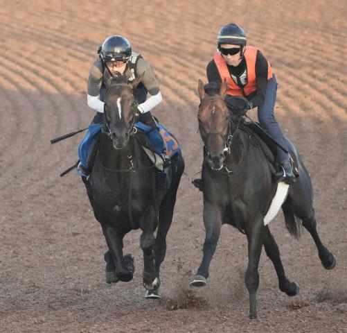 【七夕賞】アスクナイスショー、予定通りの調整　中舘師は合格点