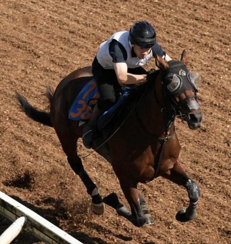 【七夕賞】7歳馬バトルボーン、力強い脚さばき　林師「いい状態で迎えられそう」