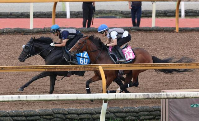 【七夕賞】センツブラッド、直線馬なり先着　舞台替わりで巻き返しへ