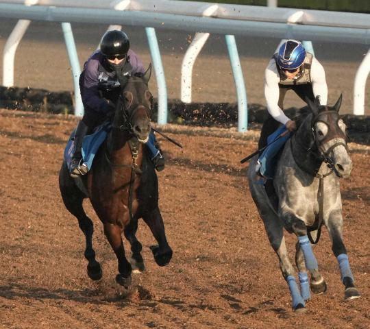 【七夕賞】カラマティアノス、余力十分の伸びラスト1F11秒1　奥村武師「本当に具合がいい」