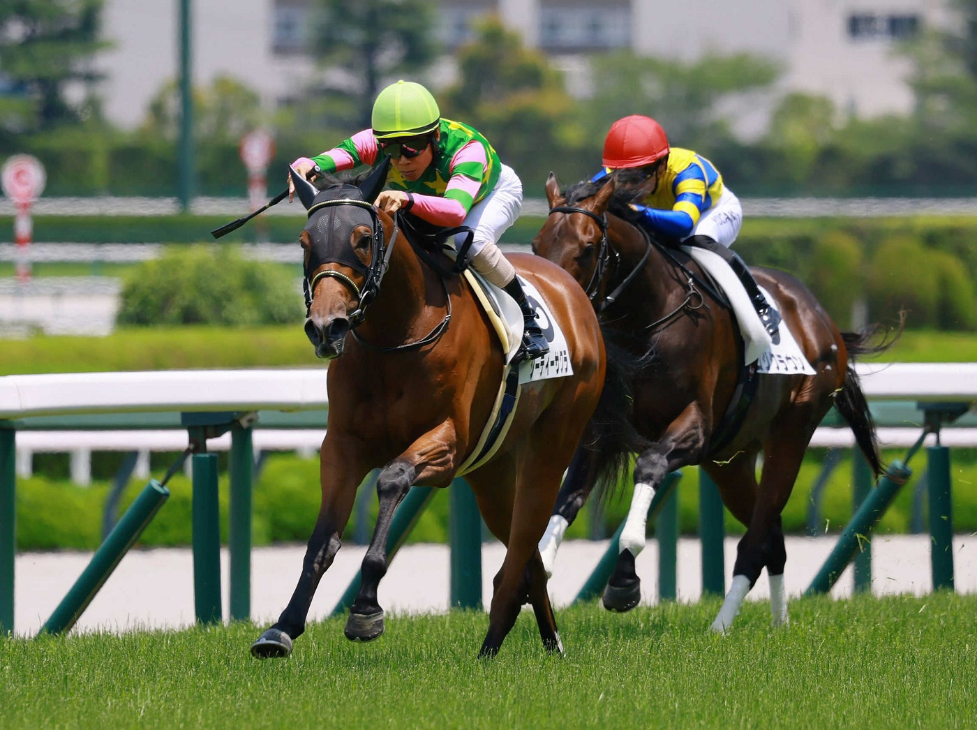ジーティーサクラは引き続き北村友とのコンビで野路菊Ｓへ