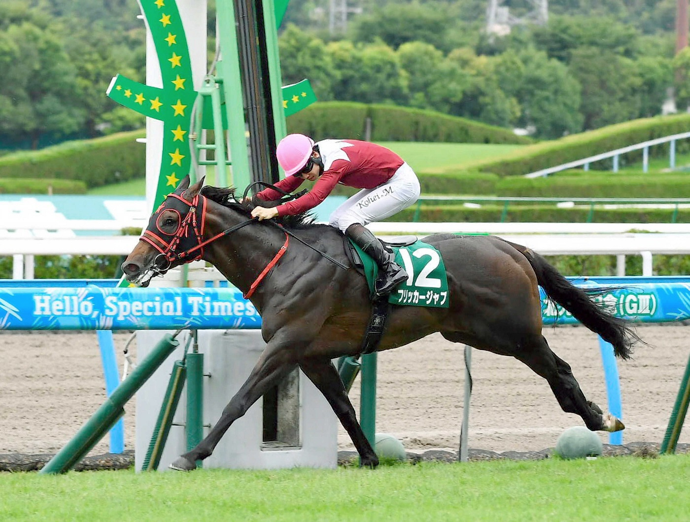 フリッカージャブ　今後はセントウルＳからスプリンターズＳを目指す