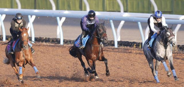【七夕賞】カラマティアノスが重賞2勝目へ絶好の動き　「本当に具合がいい」奥村武調教師も太鼓判