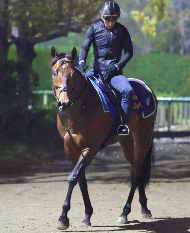 【ジュライC】悲願の海外G1制覇へサトノレーヴは順調な調整　堀調教師「前走と同様、好状態で臨めると見ています」