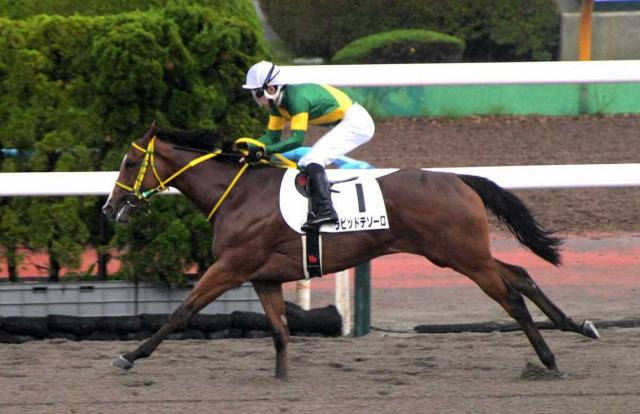 【函館1R・2歳未勝利戦】2番人気ラピッドテソーロ逃げ切り初V　丹内「淡々と行ければ勝てるかなと」