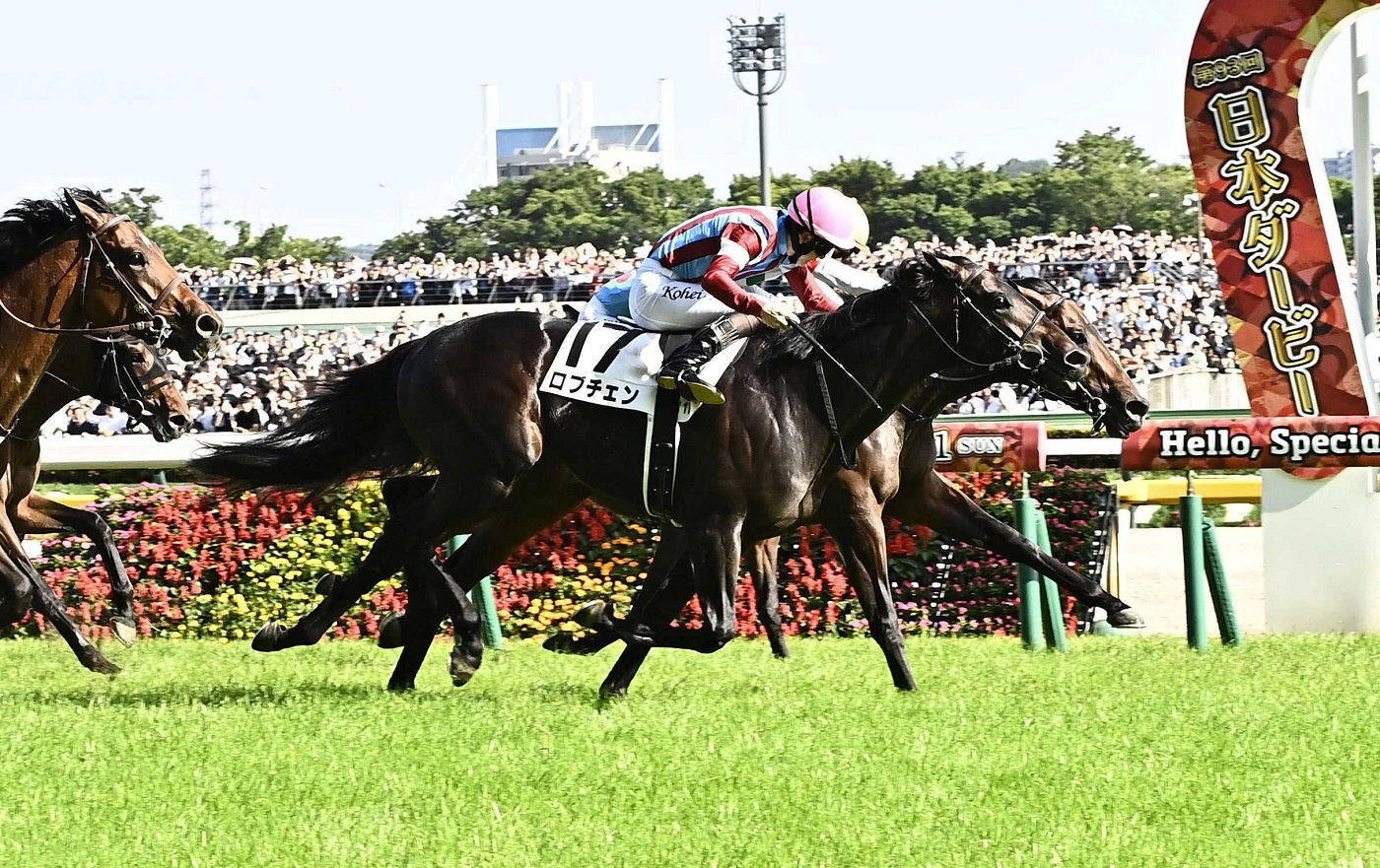 ２冠馬ロブチェンは８月帰厩予定　菊花賞見据え神戸新聞杯で始動へ