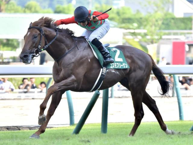 七夕賞はハンデ戦らしく波乱傾向 キングマンボ系に注目だ
