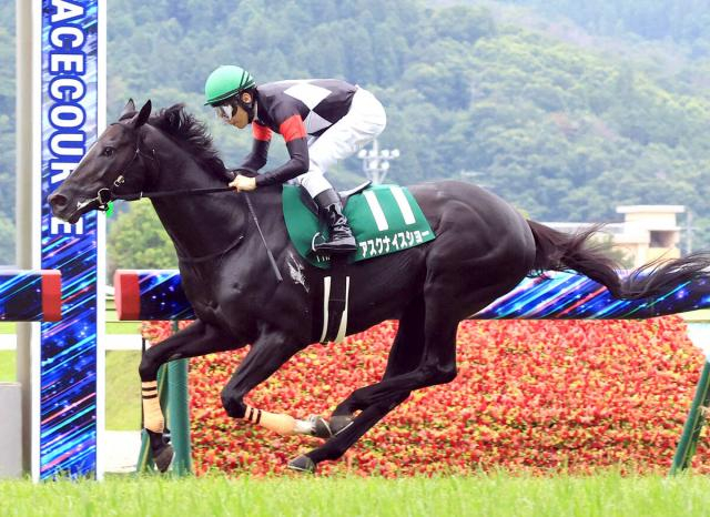 【七夕賞】アスクナイスショー、2馬身半差で重賞初制覇　田辺裕信騎手が故郷で夏の「福島2冠」を達成