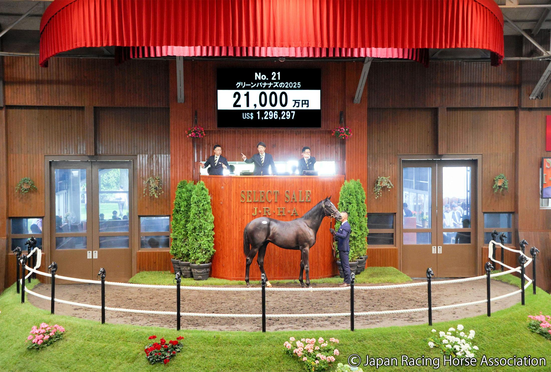 【セレクトセール２０２６】イクイノックス産駒が２億１０００万円で落札　犬塚氏「父が勝てなかったダービーを勝ちたい」
