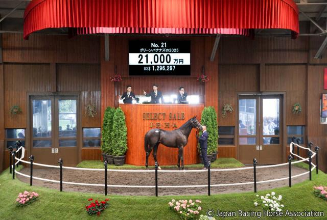【セレクトセール2026】イクイノックス産駒の牡馬が2億1000万円で落札→手塚貴久厩舎に　「ダービーを」犬塚オーナー