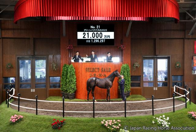 【セレクトセール】イクイノックス産駒に2億1000万円!犬塚オーナー「ダービー獲りたい」