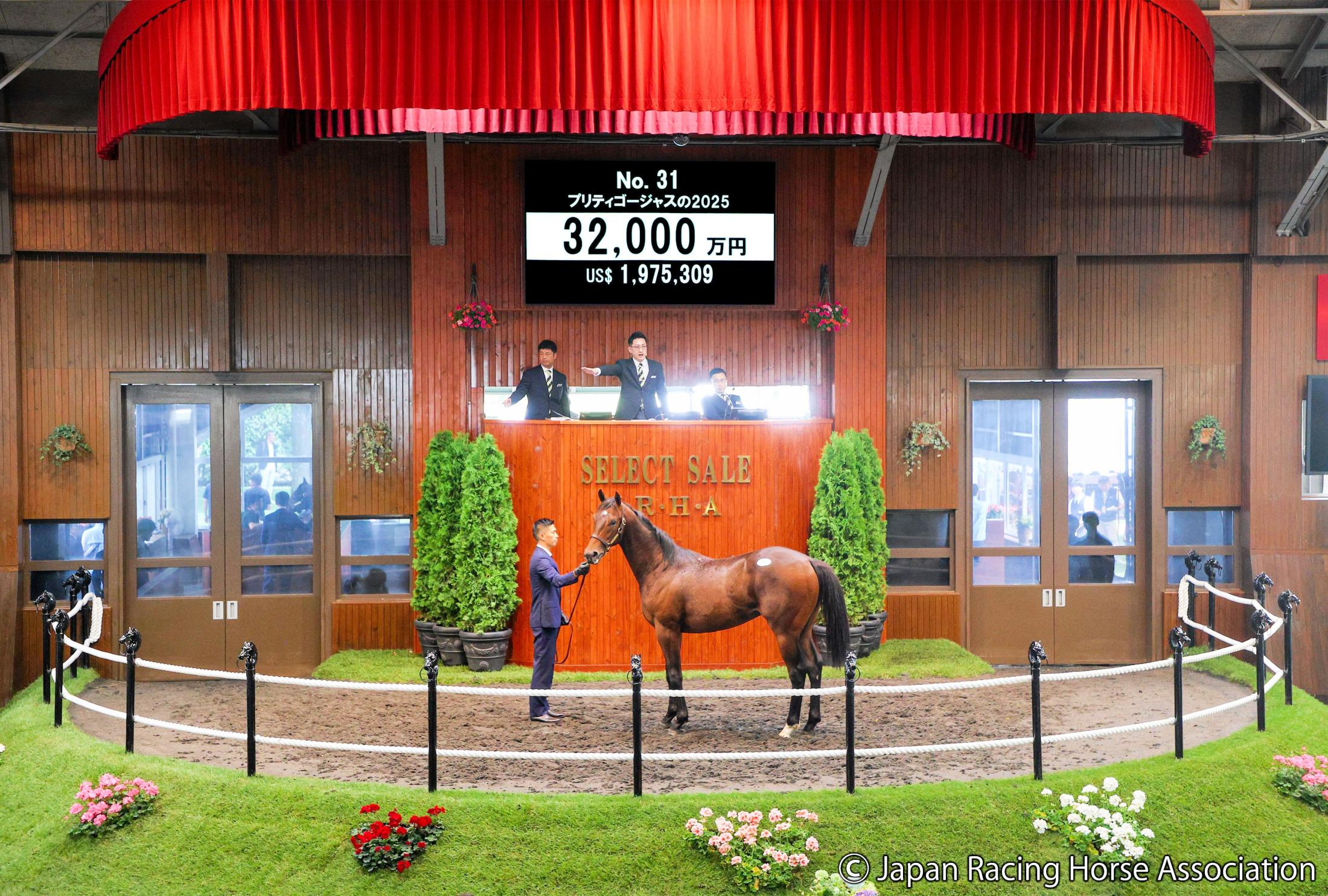 【セレクトセール２０２６】初日初の３億円超えは（株）ダノックスが落札　過去にもダービー馬ダノンデサイルなど数々のＧ１馬をセレクトセールで購入　キタサンブラック産駒のプリティゴージャス２５