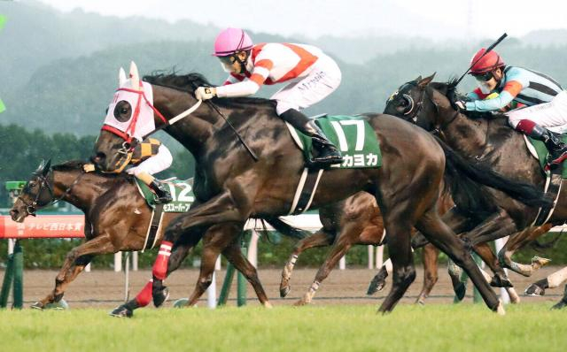 【セレクトセール2026】9400万円でよかよか!　熊本産初のJRA重賞勝ち母×イクイノックス産駒を窪田芳郎氏が落札