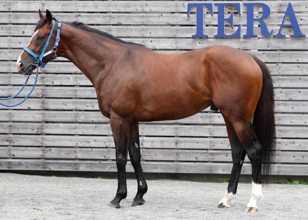 【小倉記念予想】ジョバンニほか有力馬の馬体をチェック！