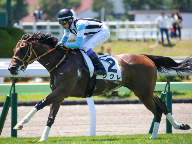 【函館2歳S】武豊騎手が29年ぶり2勝目へ 圧巻デビューVのシグレで挑む