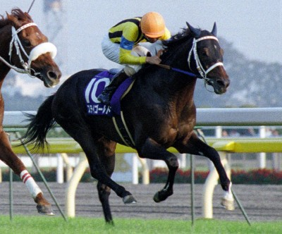 種牡馬成功したけど、競走馬としては強いと思えない馬←名に思い浮かぶ？