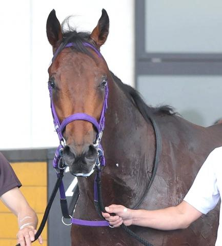 【注目馬動向】7月11日の函館新馬を8馬身差圧勝のフレイコンは函館2歳Sを回避