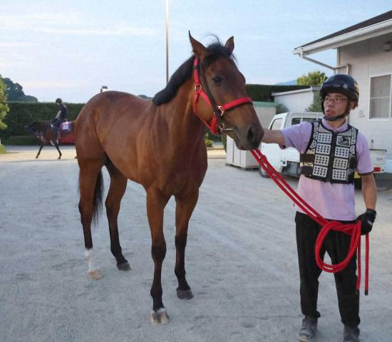 【小倉新馬戦】ウインガラハッド好気配　陣営期待「短距離は合う」