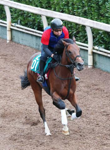 【18日の注目・小倉9R】西郷隆盛VS大久保利通に地方からも“大物”参戦!　維新の三傑にちなんだ九州産馬が令和に激突