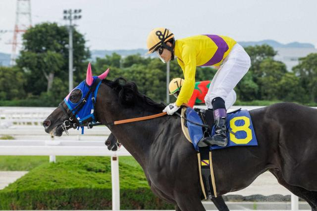 【阪神アーバン競馬プレーバック】強敵倒した!メイショウカイコン豪快に差し切り3連勝