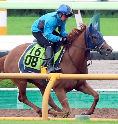 【函館2歳S・土曜気配】渋った馬場を味方に台頭するのはこの馬!　高橋一調教師も「期待したい」と一発狙うクロリス