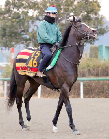 「ダンジグの後継馬」ウォーフロントが今シーズン限りで種牡馬引退　日本ではデクラレーションオブウォーなどが血を継承