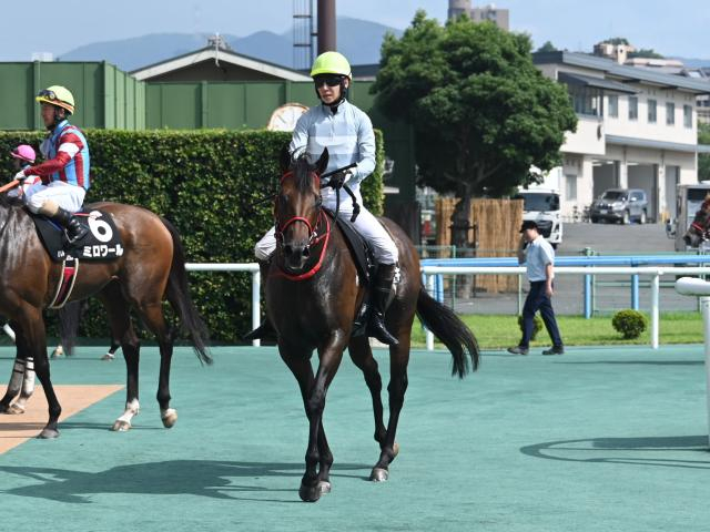 【テレQ杯レース後コメント】コウセキ松山弘平騎手ら