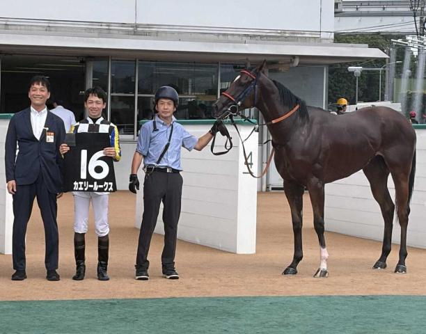 【ひまわり賞】カエリールークス　九州産馬の世代頂点　接戦しのいだ無傷2連勝