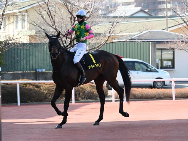 【今日の注目ポイント】開催最終日に小倉記念と函館2歳S