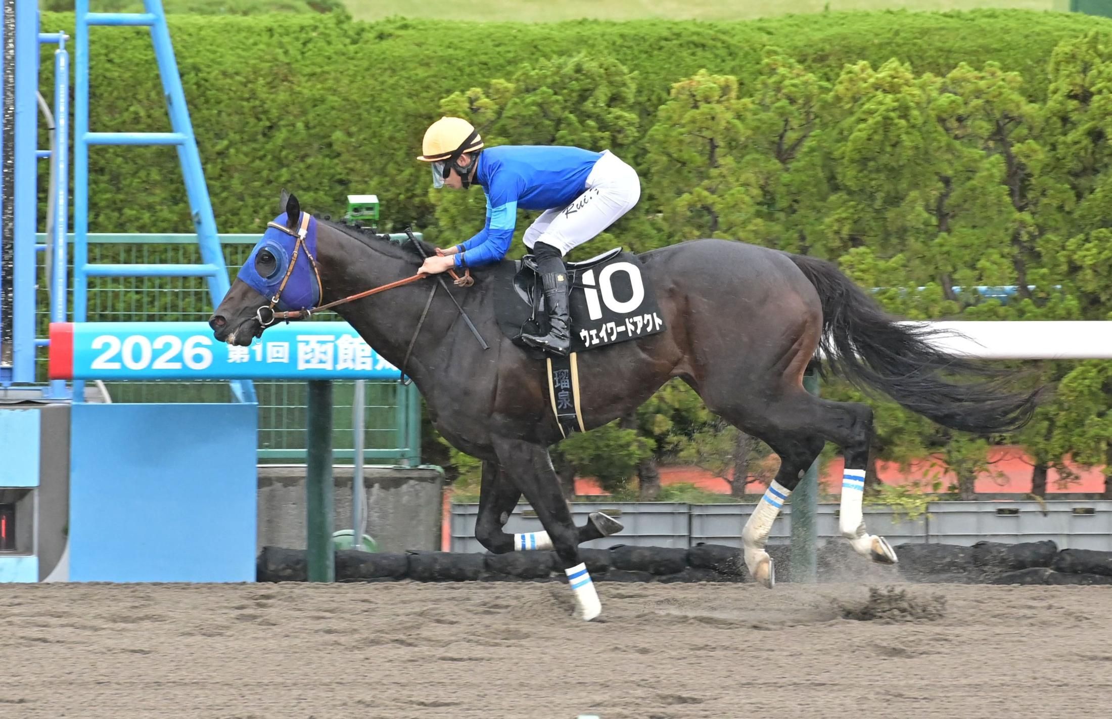 【マリーンＳ】ウェイワードアクト　悠々逃げ切りＶ　初コンビ・舟山も笑顔「楽しみな馬に出会いました」