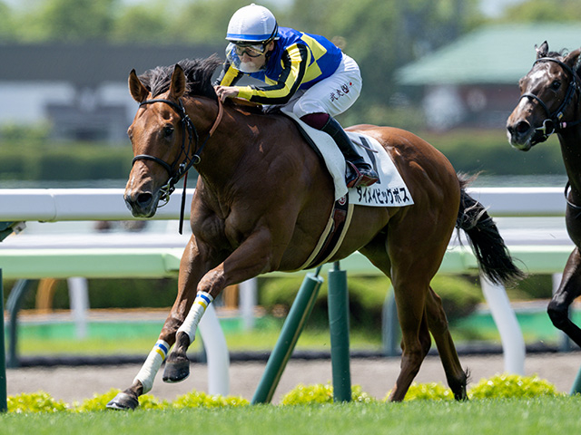【函館2歳S予想】2歳最初のJRA重賞 傾向つかみにくい芝1200m舞台