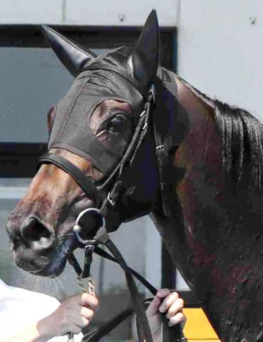 【19日の注目・函館9R】2戦ともに持ったまま!　大器モンローウォークが無傷3連勝で第2のファインモーションへ突き進む