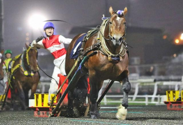 【ばんえい競馬　ばんえい大賞典】ヤマトテンショウ　逃げて1冠目　谷あゆみ師&中村太陽も重賞初V
