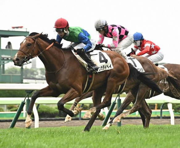 【函館新馬戦】テンカタイヘイ　まさに丹内マジック!強烈な追い込みで快勝