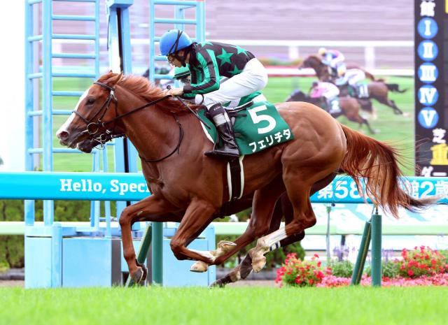 【函館2歳S】9番人気フェリチタが世代初の重賞ウィナー　初コンビ横山和生騎手「頑張る力は素晴らしい」