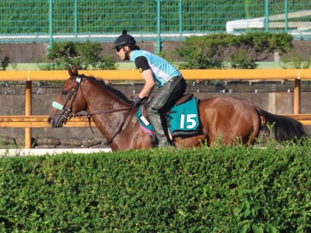 ホープフルS3着馬の半弟サンライズジャポネ 札幌芝1800mで初陣/関西馬メイクデビュー情報