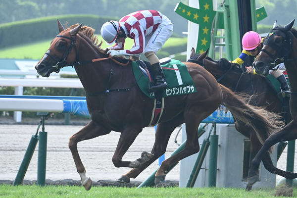 【小倉記念】またも条件馬がV！ 軽ハンデを活かし切ったゼンダンハヤブサ