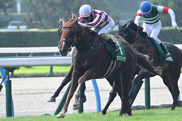 【関屋記念 AI予想】人気を落とすようであれば狙い目!? AIの注目馬がレースの傾向を覆すか